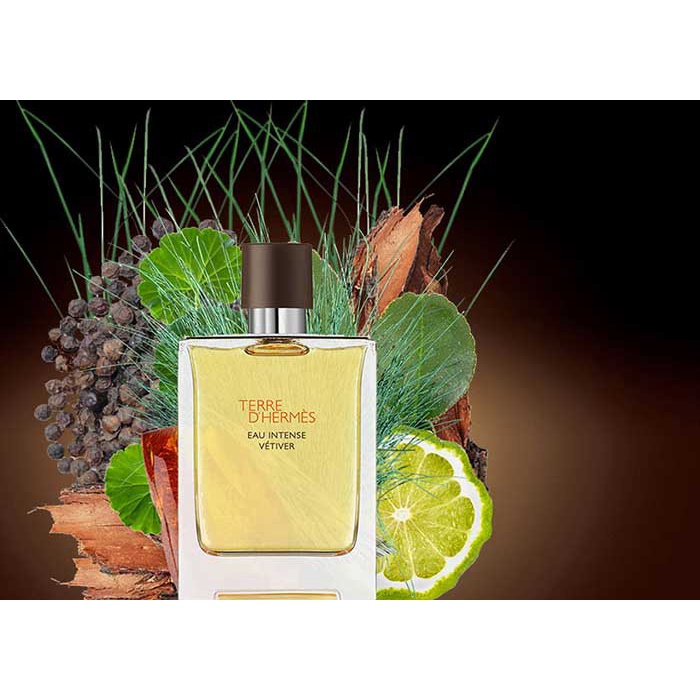 Nước hoa Terre D’Hermes EDP 100ml