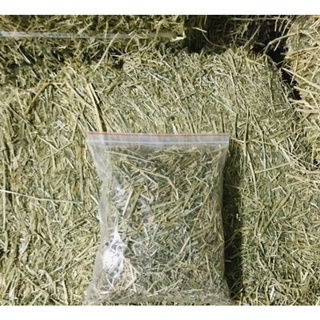 Cỏ khô Alfalfa