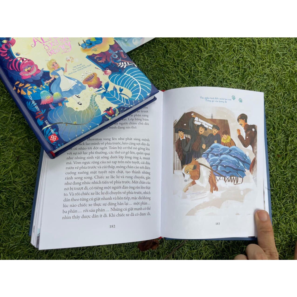 Sách - Tiếng Gọi Nơi Hoang Dã - Jack London - Bình Book
