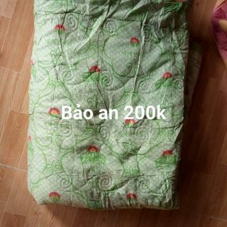 Chăn - lê thy
