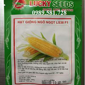 Hạt giống Ngô ngọt F1