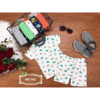 Set 5 bộ đồ Carter's cho bé trai.