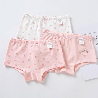 Hộp 3 quần chip đùi mam dad kids cho bé lớn