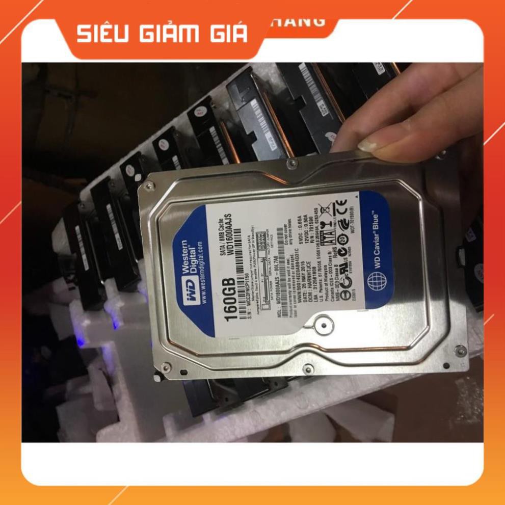 Ổ cứng HDD WD Caviar Blue 160Gb Sata PC