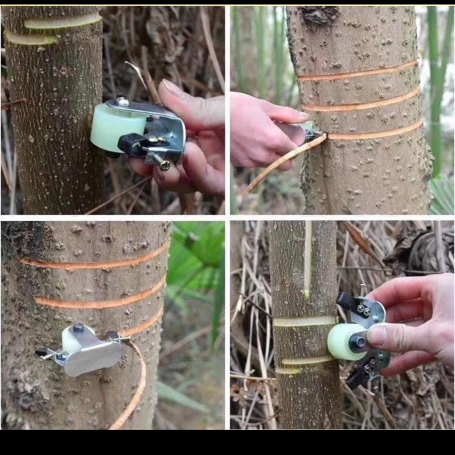 Dụng cụ khoanh vỏ cây xoay bánh xe