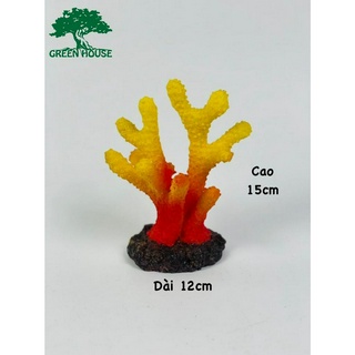 Phụ kiện trang trí hồ cá cảnh