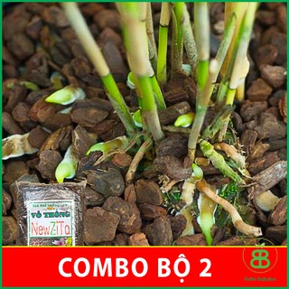 Set 2 Gói Vỏ Thông Vụn , Đã Qua Xử Lý, Trồng Lan, Kiểng Lá, Sen Đá - Combo 2 Gói