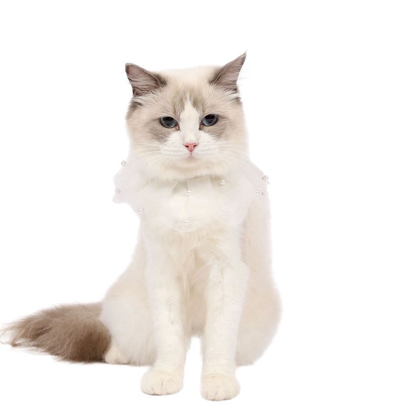 Yếm Đeo Cổ Đính Ngọc Trai Xinh Xắn Dành Cho Thú Cưng