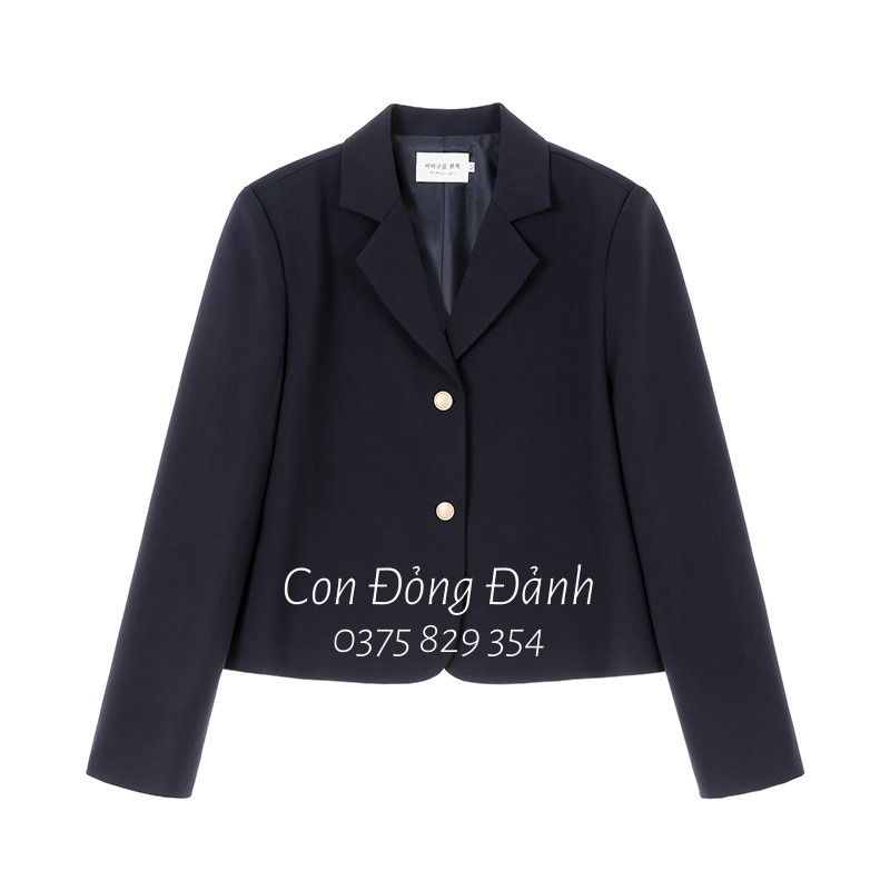 (Mã FL giảm 20k) AO018 Áo khoác blazers nữ mỏng cài 2 khuy form gọn dáng Hàn Quốc công sở thanh lịch | BigBuy360 - bigbuy360.vn