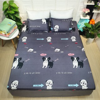 Bộ ga gối poly cotton m6x2m / m8x2m