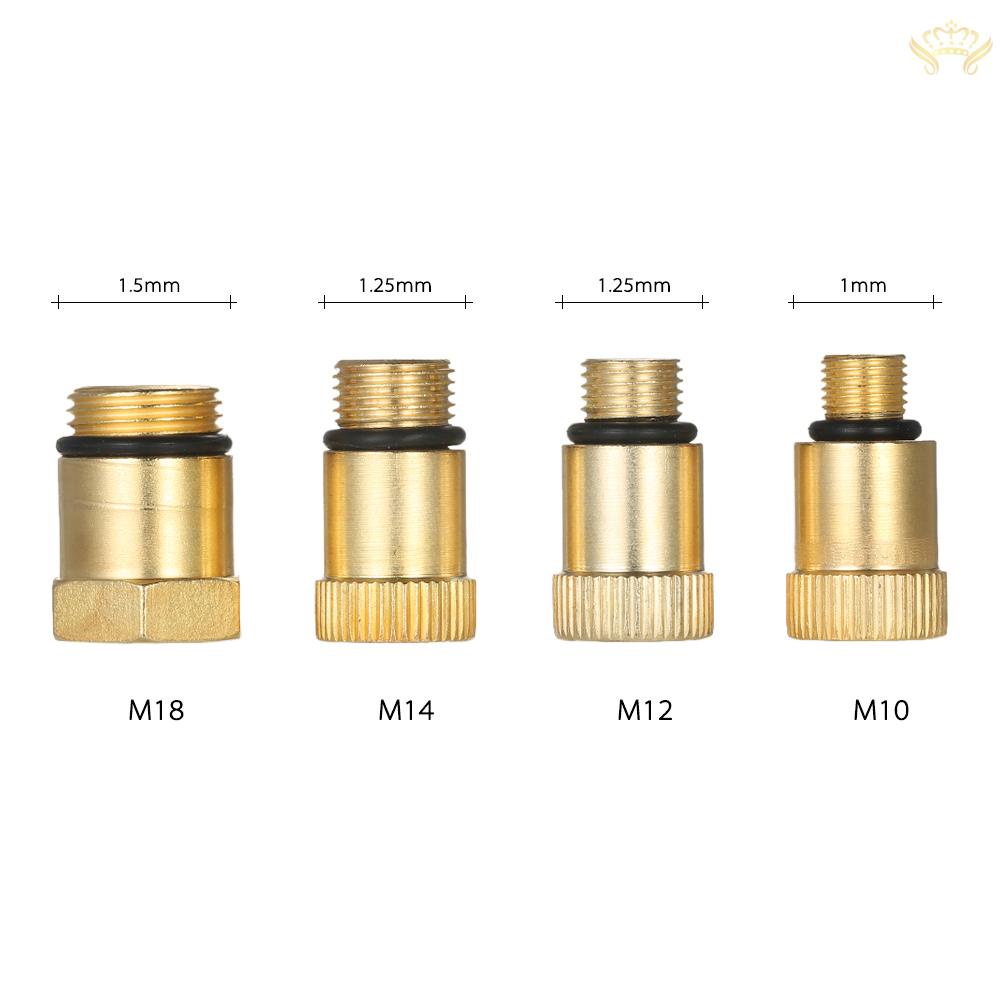 Bộ Dụng Cụ Kiểm Tra Áp Suất Nhiên Liệu Xe Hơi 0-300psi Kèm Hộp Đựng Ốp