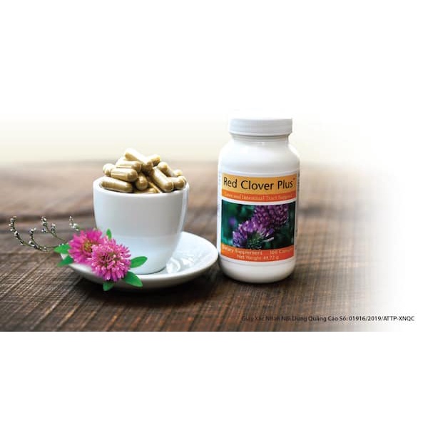 Thực phẩm bảo vệ sức khỏe Red Clover Tăng Cường Chức Năng Gan