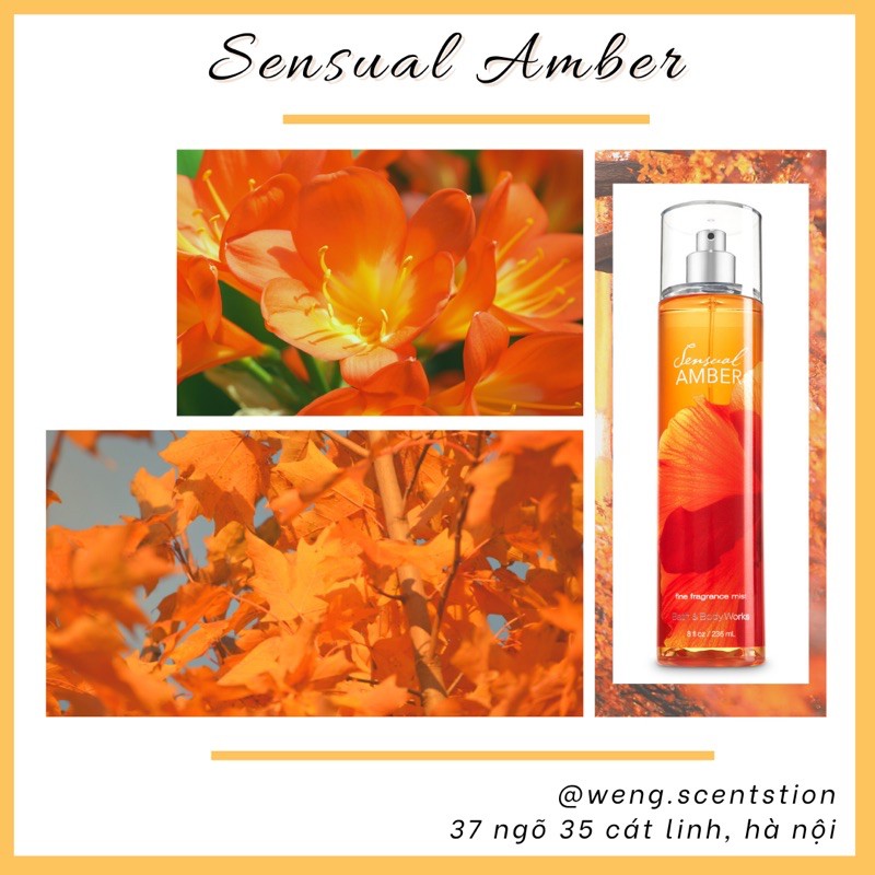 (MÙI HOT) Xịt thơm toàn thân Bath & Body Works mùi Sensual Amber | BigBuy360 - bigbuy360.vn