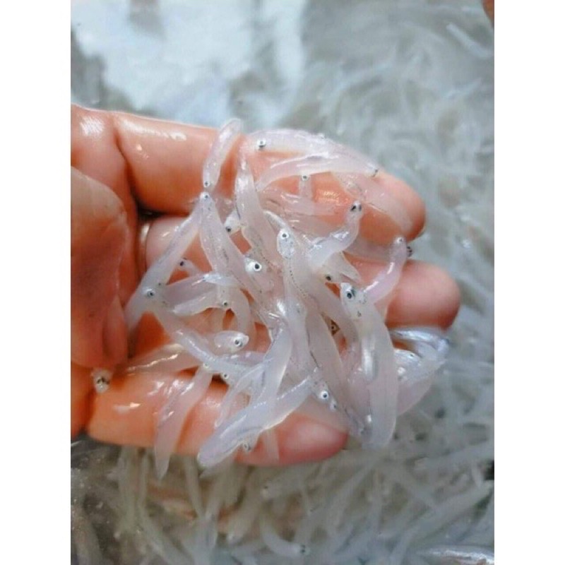 Cá mờm cơm sữa 500gr❤️GIÁ SỈ❤️ thơm ngon ngọt giàu dd