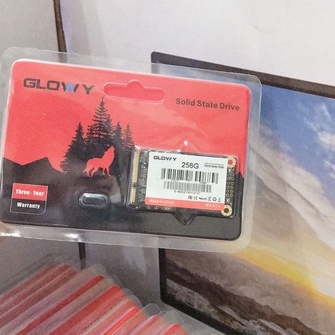 Ổ cứng SSD mSATA 256GB Gloway – CHÍNH HÃNG – Bảo hành 3 năm !!! | WebRaoVat - webraovat.net.vn