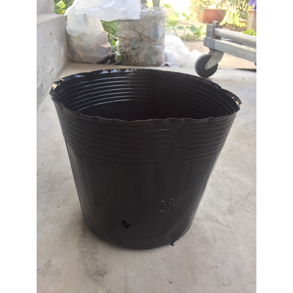 1kg(29-30 cái) bầu ươm cây màu đen giá chỉ 56k