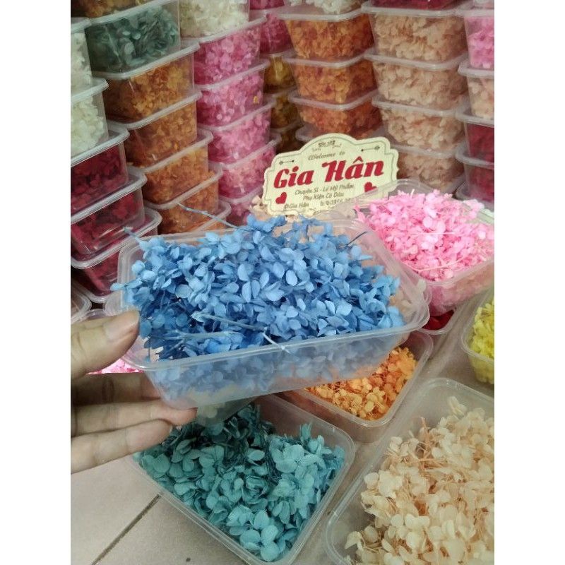 Hoa khô tú cầu🌺 10g/1 hộp
