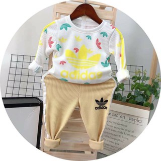 combo bộ das 2020 size 7÷20kg
