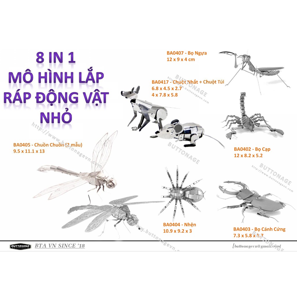 Mô Hình Lắp Ráp 3d 7 Loại Động Vật Bò Cạp, Bọ Cánh Cứng, Nhện, Chuồn Chuồn, Chuột