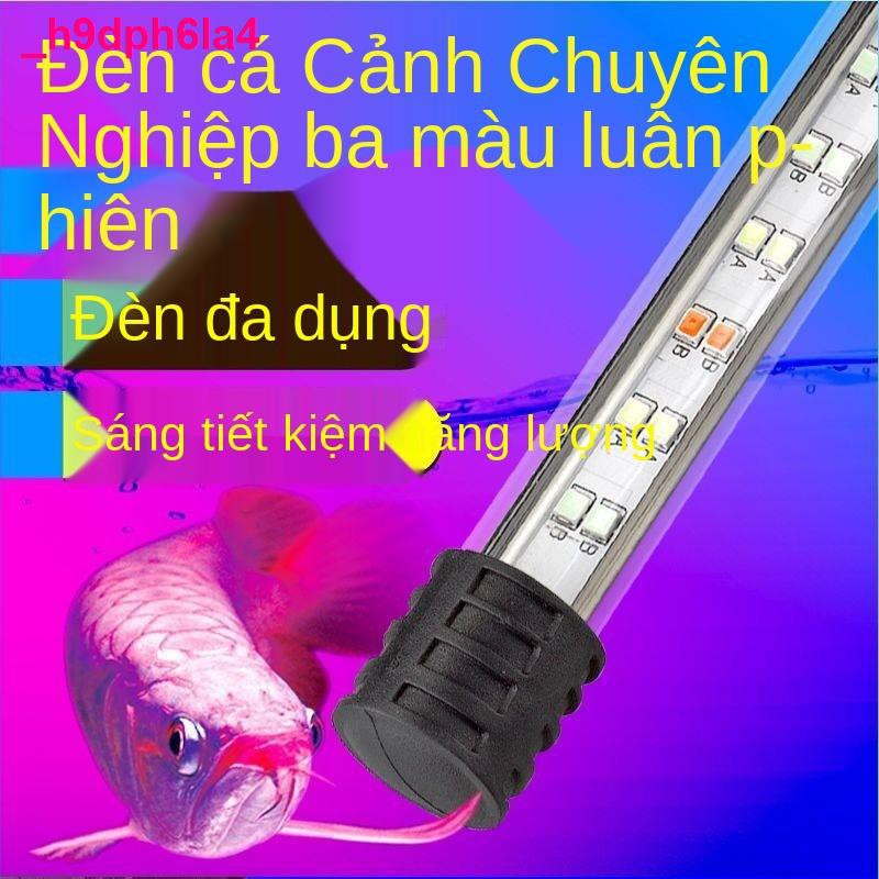 đèn phòngđèn lặn bể cá ánh sáng cảnh quan led hồ chống thấm T4LED rồng đặc biệt