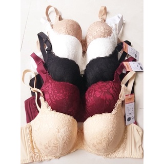 Áo ngực mút mỏng. Áo ngực Lovely mút mỏng. Áo ngực ren và trơn. Áo ngực Bigsize