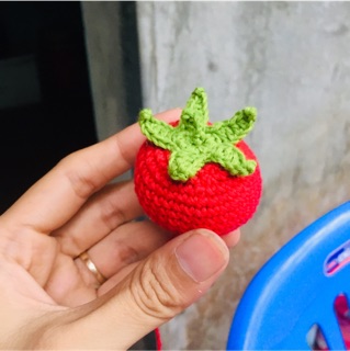 Phụ kiện thú cưng