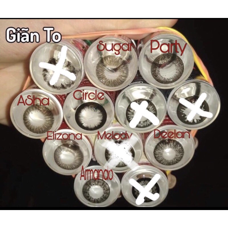 Lens không độ Đen + khay đơn