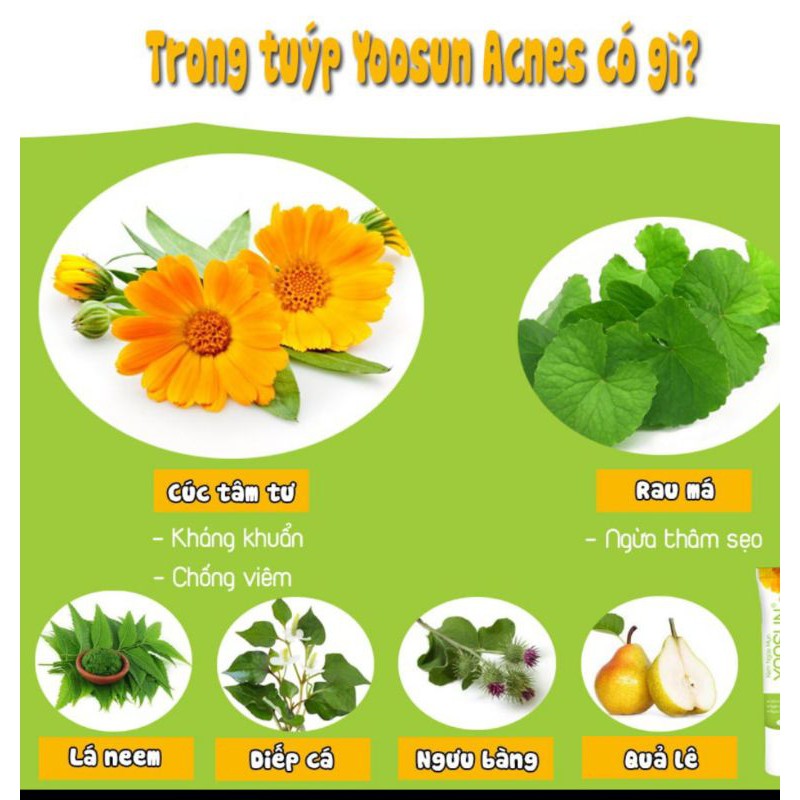 Kem ngừa mụn Yoosun acnes