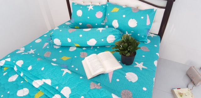Drap thắng lợi 100% 1m6 +3 áo gối 100%cotton