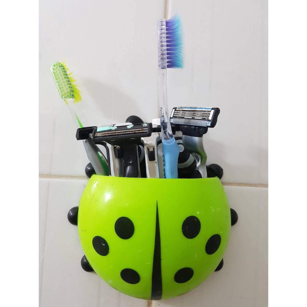 HỘP TREO BÀN CHẢI GẮN TƯỜNG NHÀ TẮM HÌNH CÁNH CAM GIAN HANG GIA UU DAI KHAI TRUONG 2019