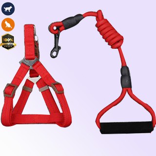 Xích chó cao cấp, xích chó quốc dân, xích chó mèo, dây xích co dãn,
