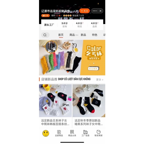 SET TẤT ULZZANG SIÊU XINH