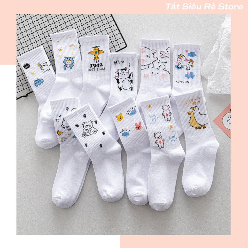 Tất cổ cao nam nữ, tất nữ nam nhún chất liệu cotton mềm thoáng mát dễ phối đồ