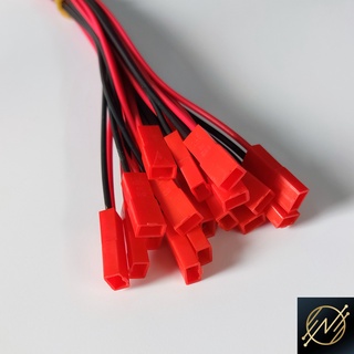 Cặp Jack kết nối JST-2P 2 Pin 20cm
