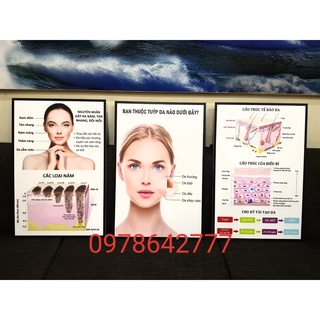 Giá gốc tại xưởng. bộ 3 tranh fomex: tranh spa, thẩm mỹ viện, cấu trúc da miễn phí thiết kế, tặng thêm băng dính . .