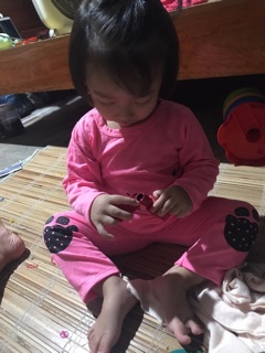 phn thuỳ linh