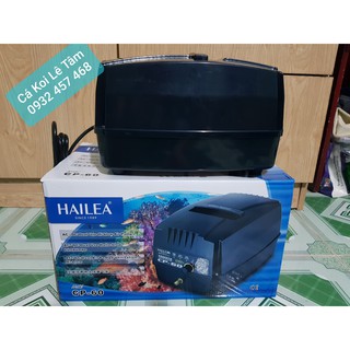 SỦI OXY TÍCH ĐIỆN HAILEA CP60, CP120