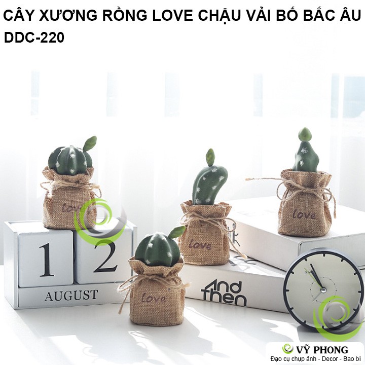 CÂY XƯƠNG RỒNG CHẬU VẢI BỐ CHẬU SEN ĐÁ MÔ PHỎNG NORDIC BẮC ÂU TRANG TRÍ DECOR ĐẠO CỤ CHỤP ẢNH SẢN PHẨM INS DDC-220