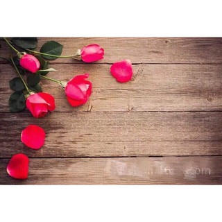 Phông nền chụp ảnh 3D