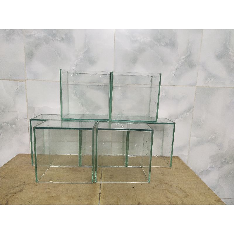 Bể cá mini- keo Betta