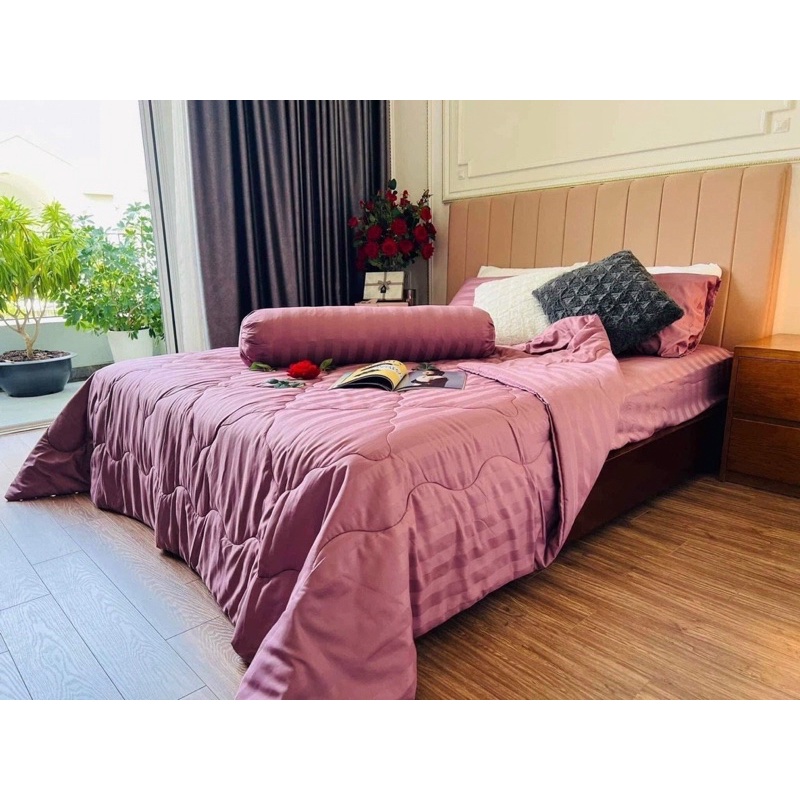 CHĂN GA KHÁCH SẠN COTTON 3F HÀNG CHUẨN XỊN MỊN