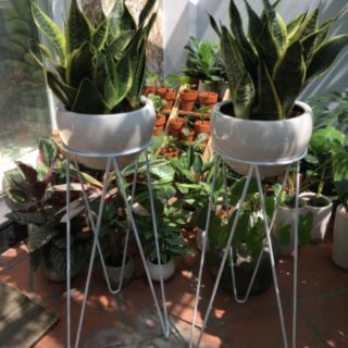 Giá đỡ chậu (kệ đặt chậu trồng cây)
