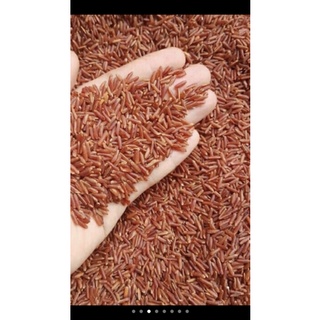 Gạo lứt huyết rồng loại 1