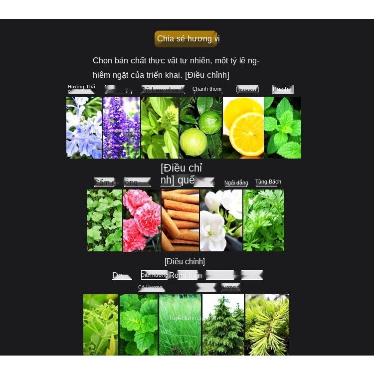 Nước hoa cologne lâu phai mùi hương quyến rũ gợi cảm cho nam