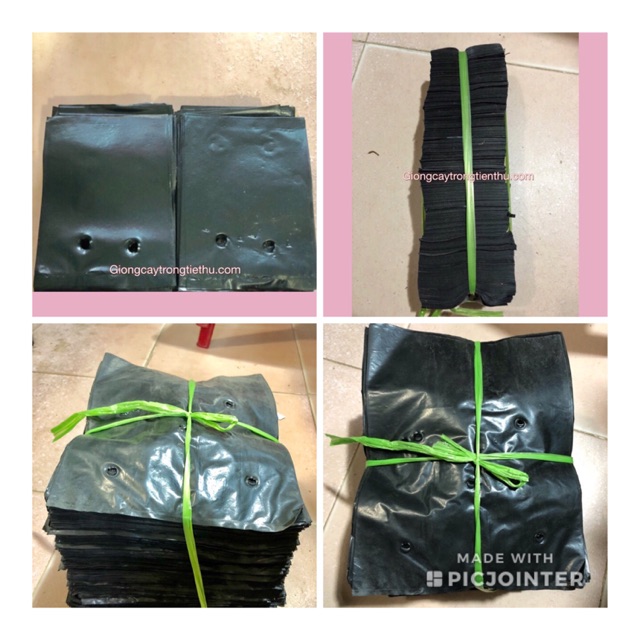 COMBO 20kg TÚI BẦU ƯƠM CÂY GIỐNG (8x11, 20x25cm)