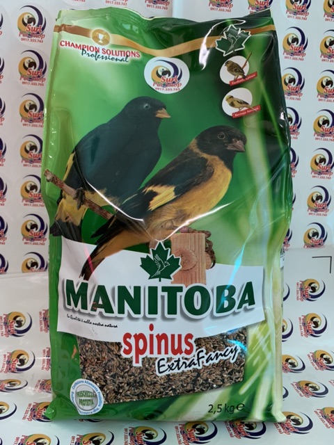 Hạt trộn spinus extra fancy dành cho Siskin và thạch yến