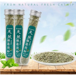 Cỏ bạc hà chuyên dành cho mèo phê phê