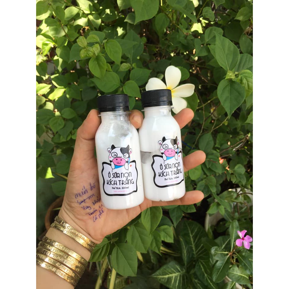 Ủ sữa non con bò kích trắng 100ml