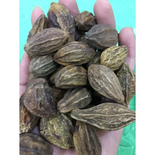 Quả kha tử