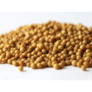 Phân tan chậm 100gr